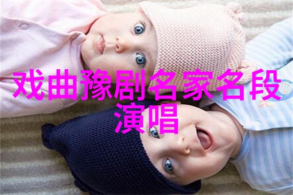 豫剧典妻